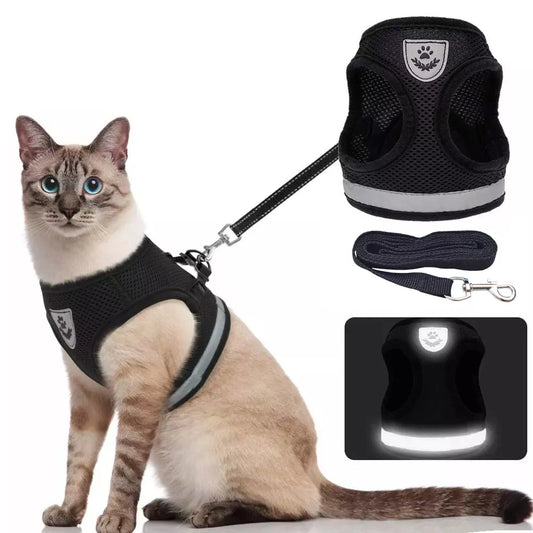 Reflective Pet Harness and Leash