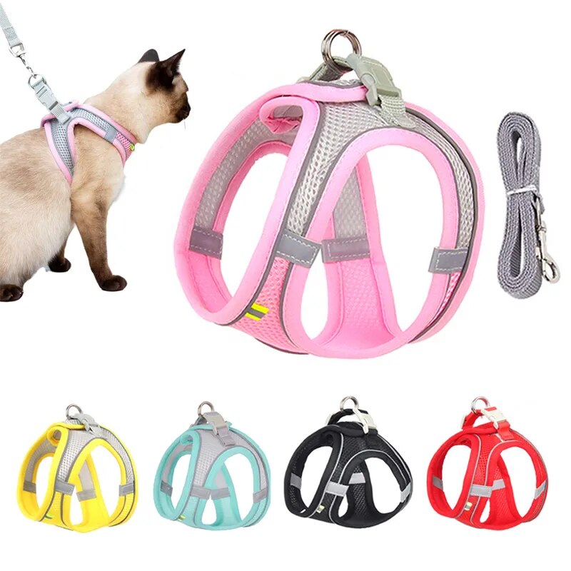 Escape Proof Cat Harness and Leash Set