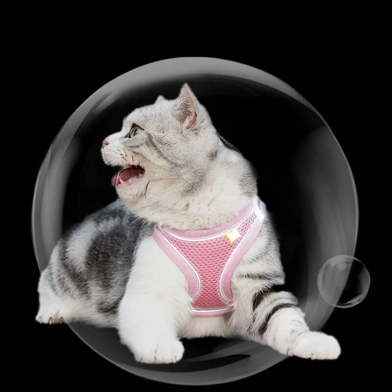 Escape Proof Cat Harness and Leash Set